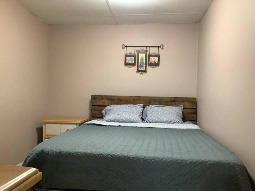 a bedroom with a bed with two pillows at Cozy Apt near BU, Lourdes, UHS in Johnson City