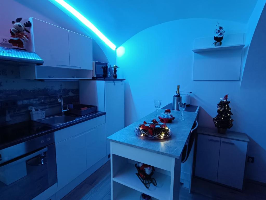 Kuchyň nebo kuchyňský kout v ubytování Apartment MaRI&BoR