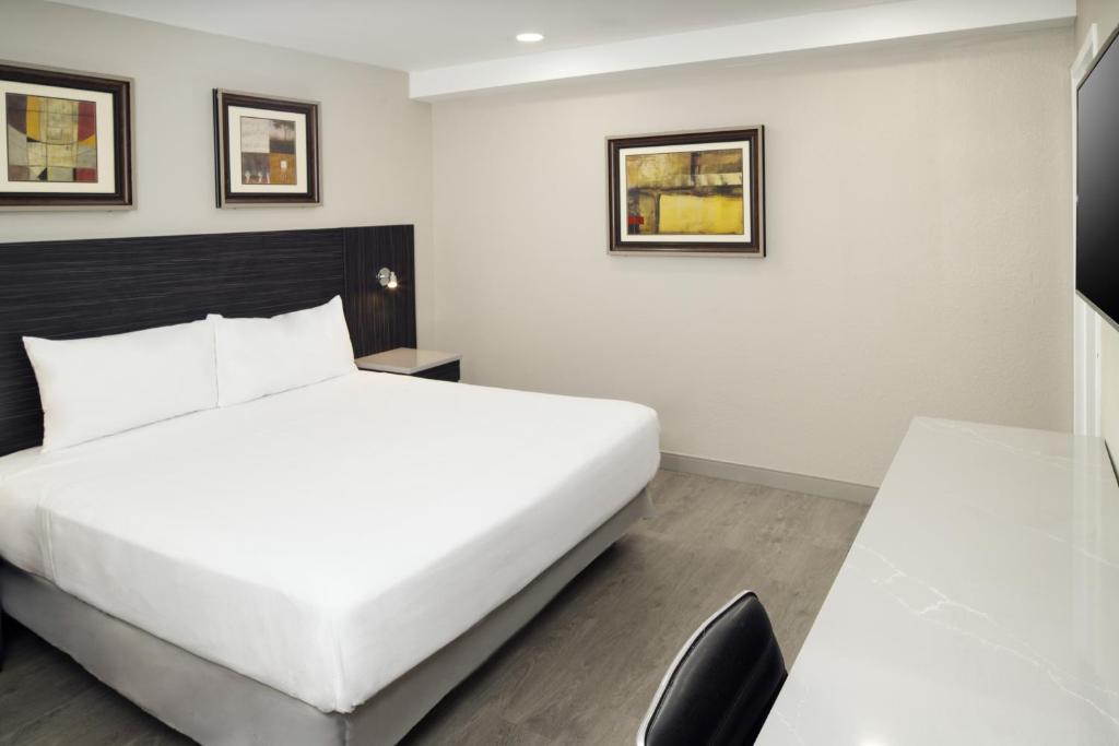Skyview Motel - King Room - Smoking
