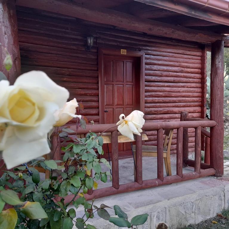 Fotografie z fotogalerie ubytování Antalya Bodrum Kayası Dağ Oteli v destinaci Hasdümen
