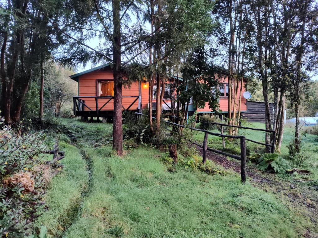 una cabaña en el bosque con un camino que conduce a ella en Casa o habitacion en carretera austral, en Puerto Montt