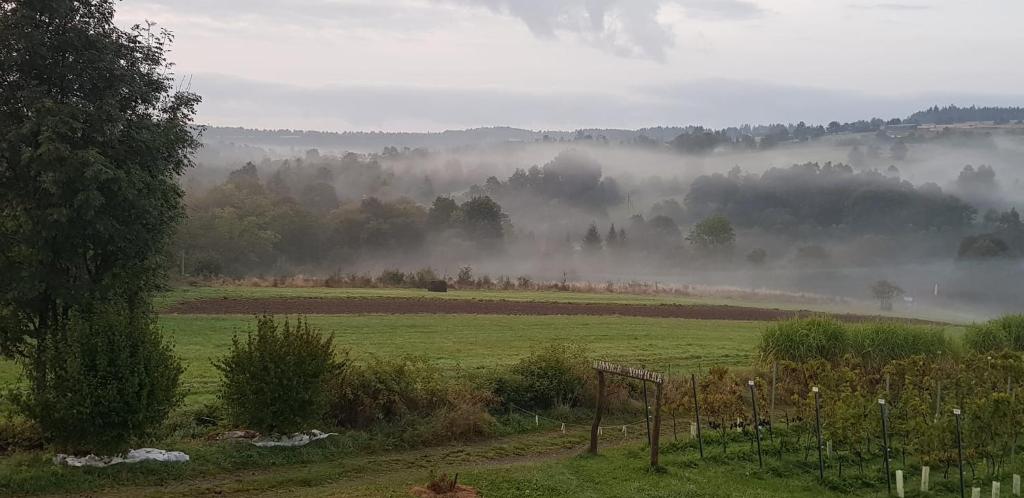 Príroda v okolí dovolenkového domu