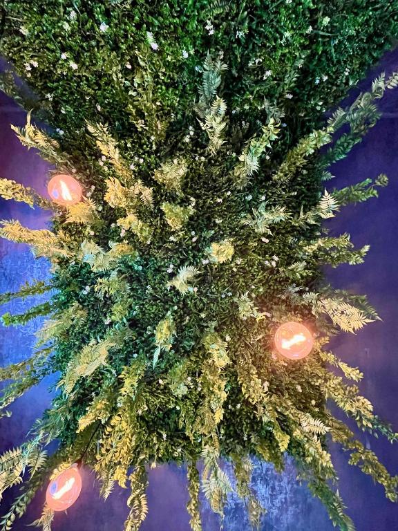 Cozy Hideout - Condo Hotel - Resim 37