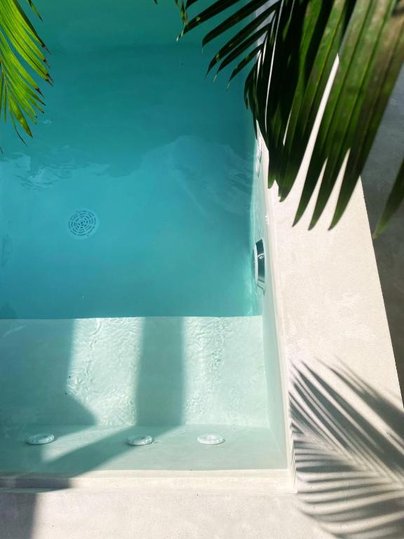 Bazén v ubytování Sri Lanka Surf Villa Domus Graziella nebo v jeho okolí