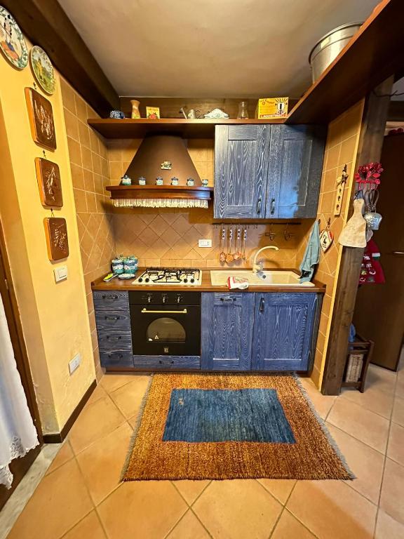 a kitchen with blue cabinets and a black stove at Il Regno Dei Vacanzieri in Pescocostanzo