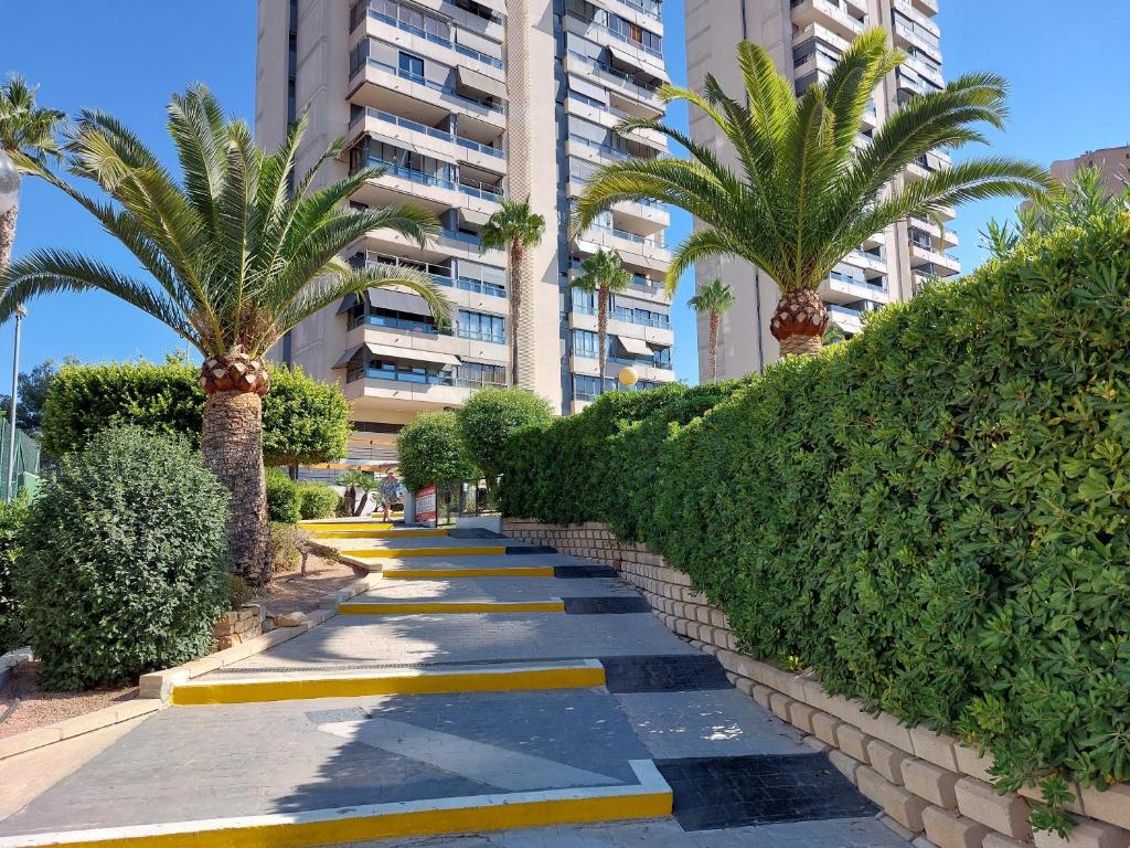 une passerelle avec des palmiers et un bâtiment dans l'établissement Las Marinas 8o con Vistas al Mar y Piscina by Vero, à Benidorm
