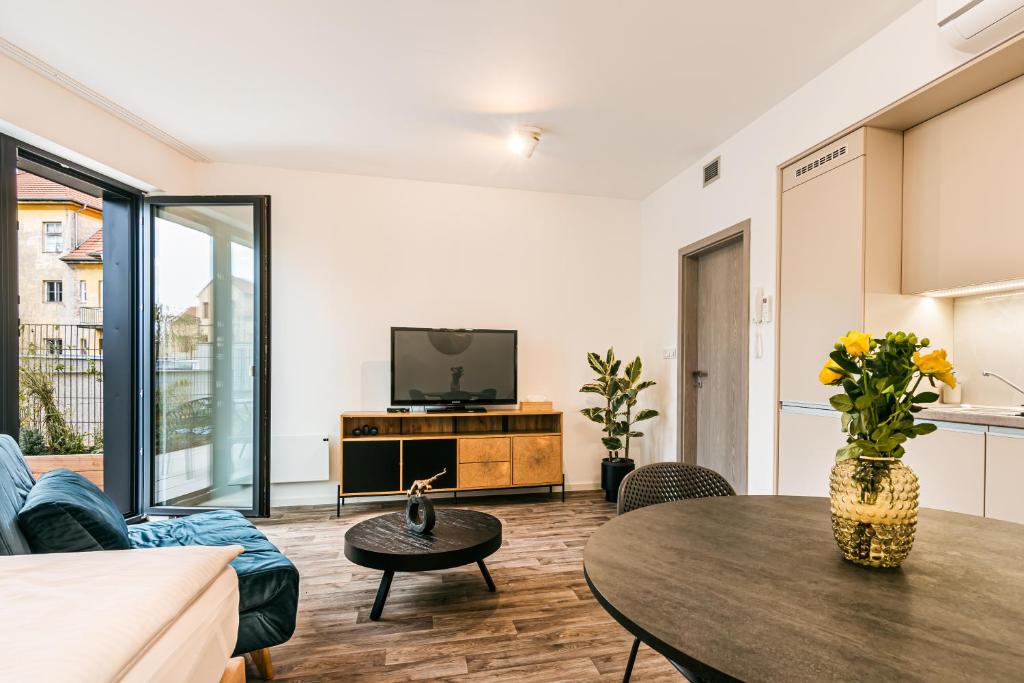 TV a/nebo společenská místnost v ubytování Apartman Mikulov Garden