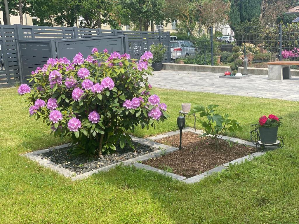 ein Büschen rosa Blumen im Garten in der Unterkunft Meli-Vellmar in Vellmar