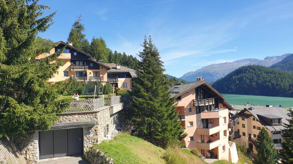 Příroda nedaleko apartmánu