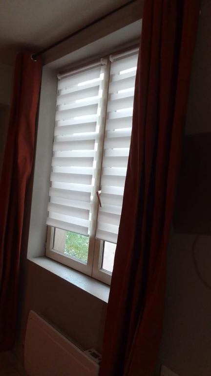 ein Fenster in einem Zimmer mit einem Vorhang in der Unterkunft Appartement vieux Lyon in Lyon
