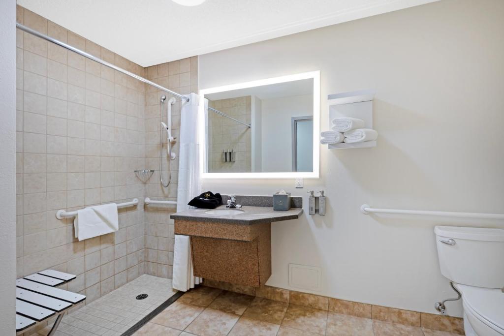 The Lux Hotel & Conference Center, an Ascend Collection Hotel - Camera King - Accesso Disabili