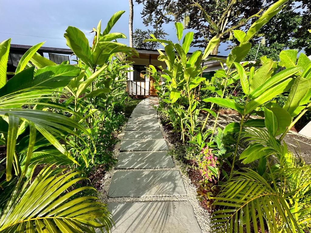 Almendros Eco-Villas - 一居室房屋