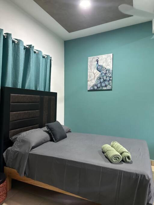 a bedroom with a bed with a blue wall at Brisa del mar #7 in Puerto Escondido