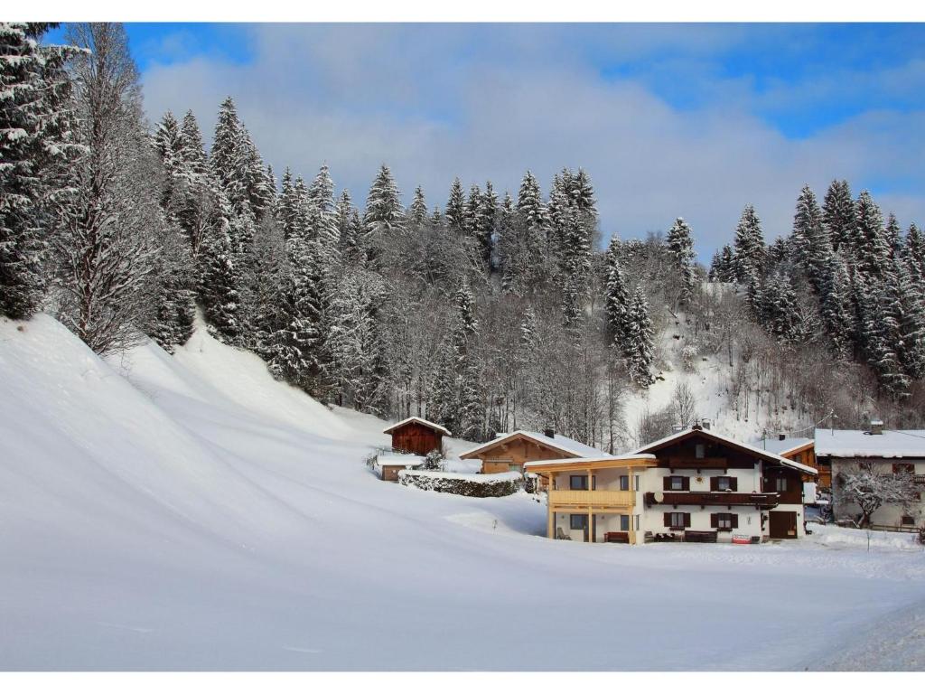 a ski lodge in the snow next to a forest at Blick auf den Rettenstein Top 1 und 2 in Kirchberg in Tirol