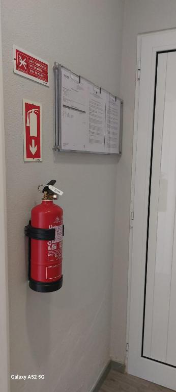 Pineapple Studio - 17