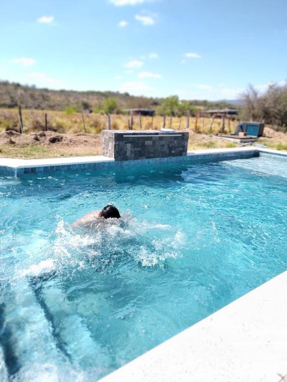 Panaholma
