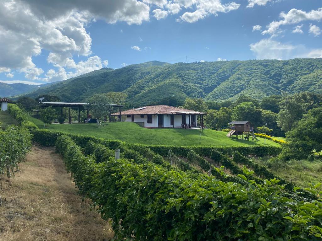 a house in a vineyard with mountains in the background at Hacienda La Tulia Eco Hotel in Toro