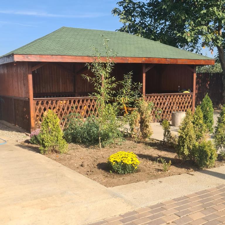 Zahrada ubytování Vila Estera Therme Balotesti