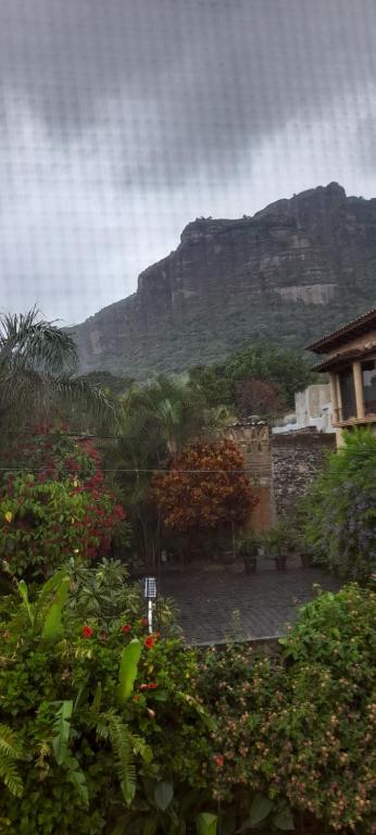 Vista generica sulle montagne o vista sulle montagne dall'interno della stanza in casa privata