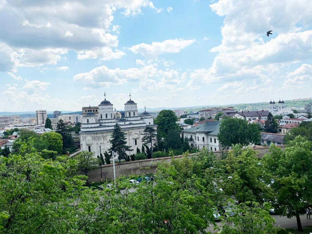 a view of a city with buildings and trees at Central Apartments' Privat-Sauna free Parking AmurResidence FamilyConcept in Iaşi