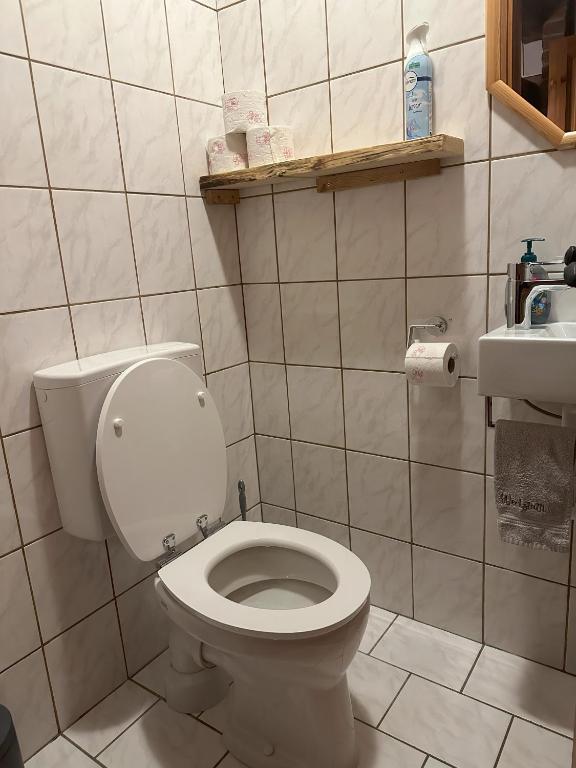 Koupelna v ubytování Ferienhaus Werkstattl Rassis Feriendorf Donnersbachwald