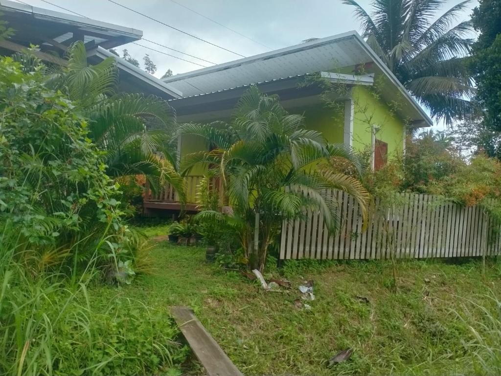 a house with a palm tree in the yard at Sukanyawoodhouse in Ban Tha Rua