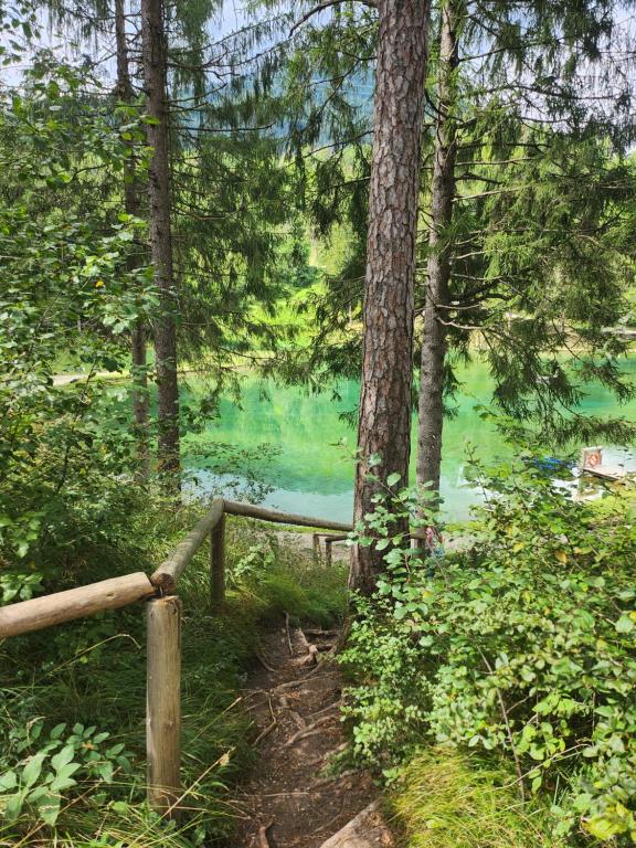 a forest with a fence next to a lake at Nuovo Margiolà Dolomiti in Calalzo