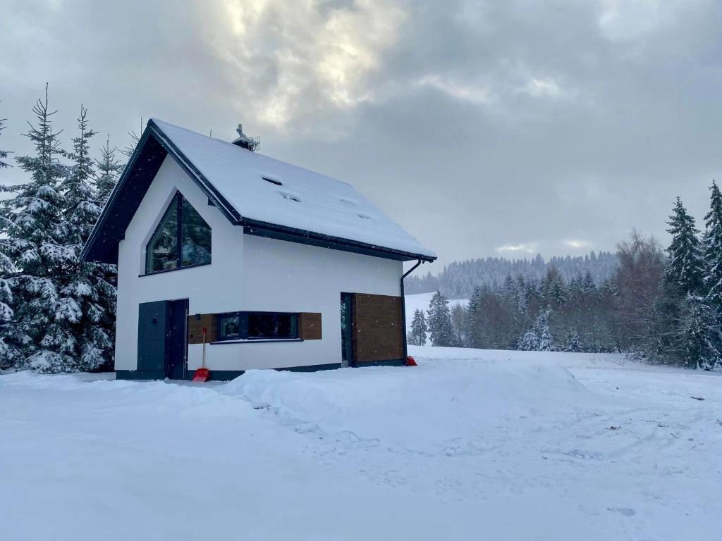 a house covered in snow in a snowy field at Domek u Zająca in Krynica Zdrój