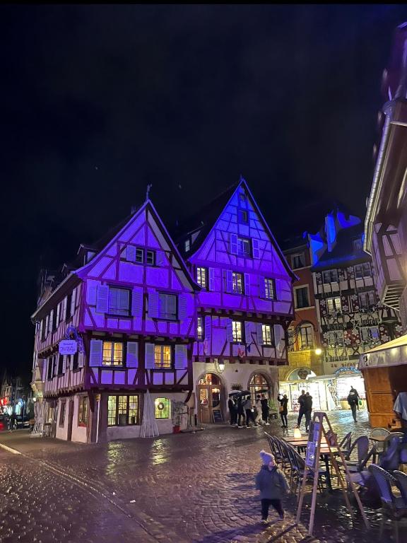 Colmar - Le Nichoir - Centre historique - Parking Gratuit - Box vélo & poussette – photo 30
