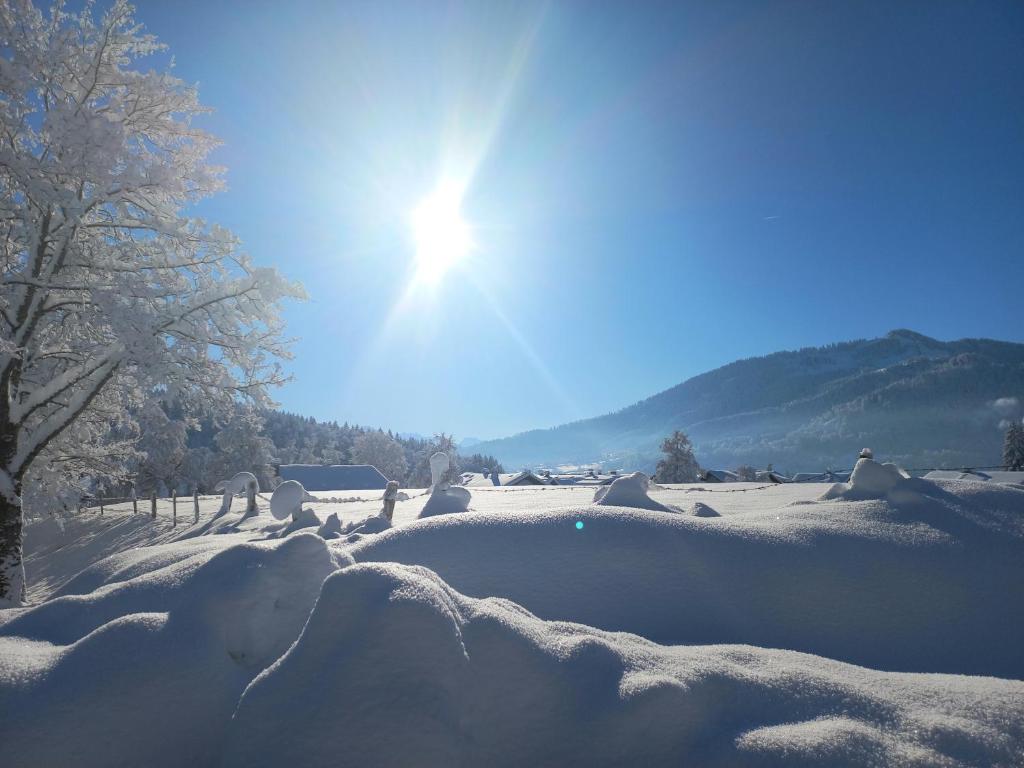 un champ couvert de neige avec le soleil qui brille dans l'établissement Top! Wohnung direkt am Fuß der Berge im Oberallgäu, à Immenstadt