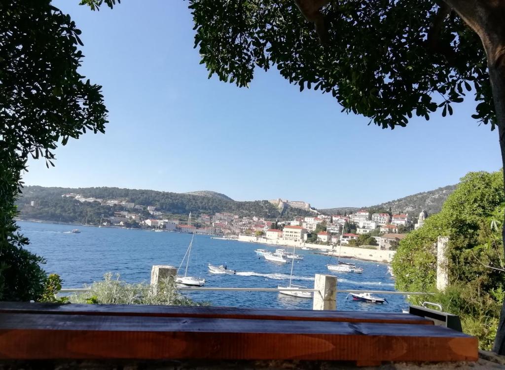Príroda v okolí apartmánu