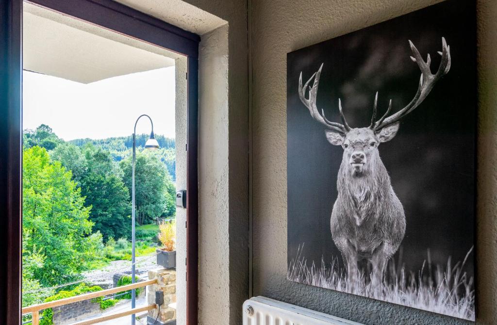 Fotografie z fotogalerie ubytování La Vue gîte familial v destinaci La-Roche-en-Ardenne