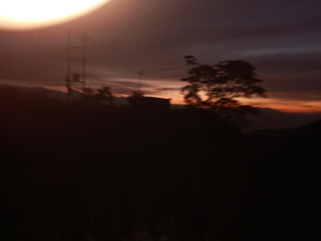 a silhouette of a tree in front of a sunset at Unique point home stay in Nagarkot