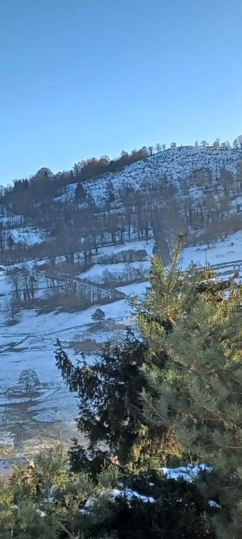 Naturlandskabet i nærheden af lejligheden