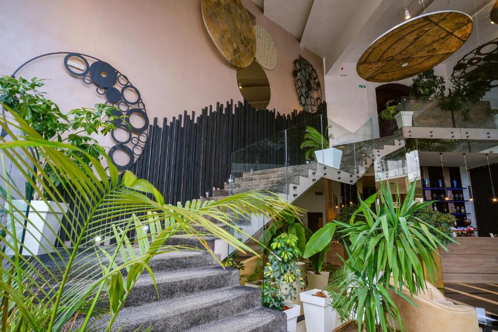 Hotel Crystal Light - Resim 11