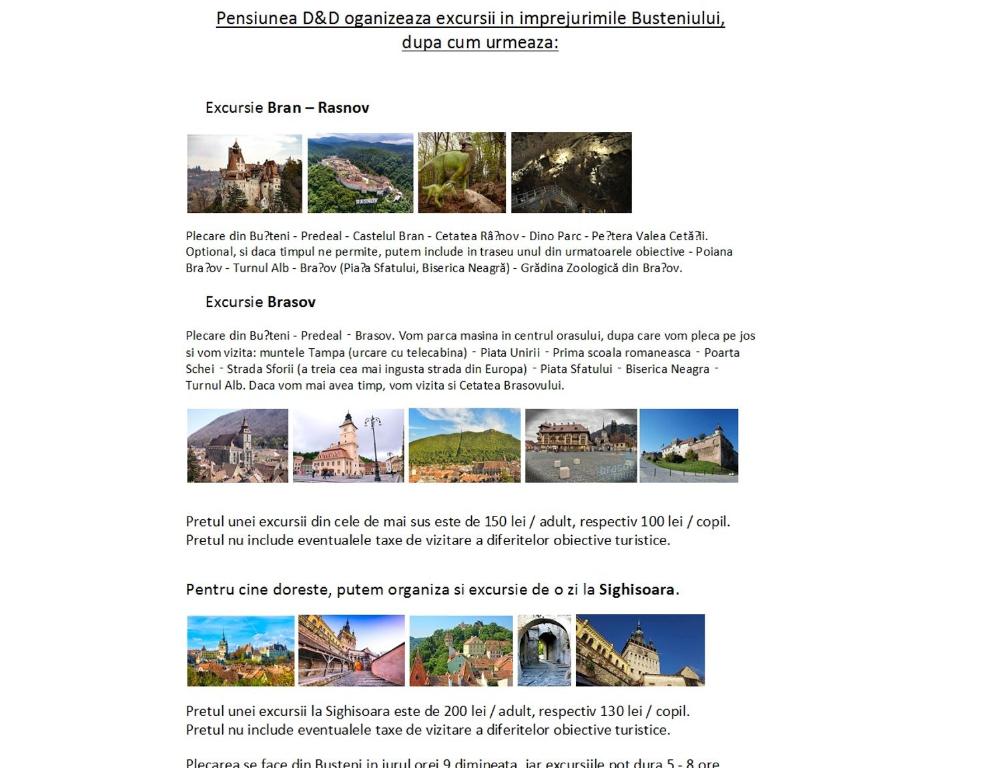 Fotografie z fotogalerie ubytování D&D Busteni v destinaci Buşteni