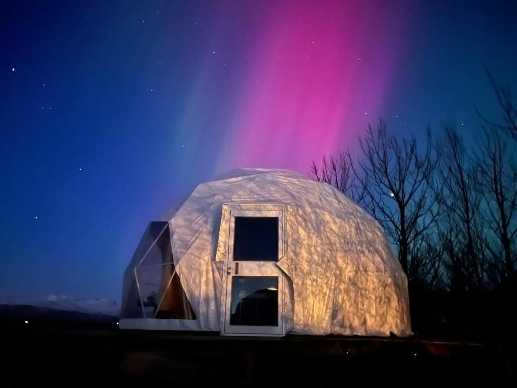 an iguana house at night with the northern lights at Aurora Dome on the South Coast in Hvolsvöllur