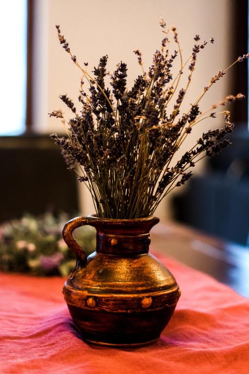 Fotografie z fotogalerie ubytování Casa Santha - hospitality & spa v destinaci Cheia