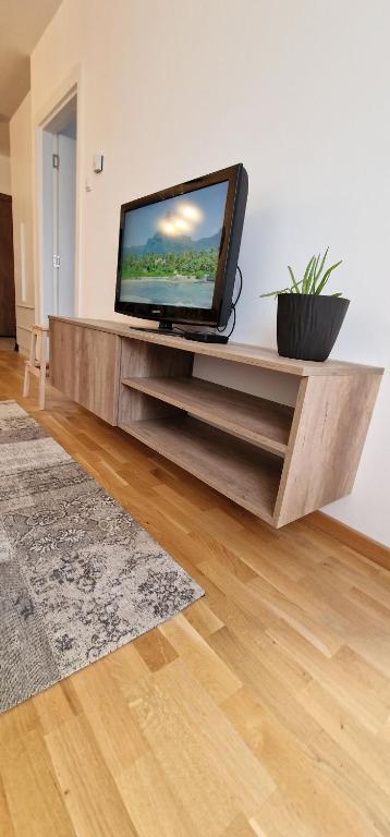 TV a/nebo společenská místnost v ubytování Portovaradin