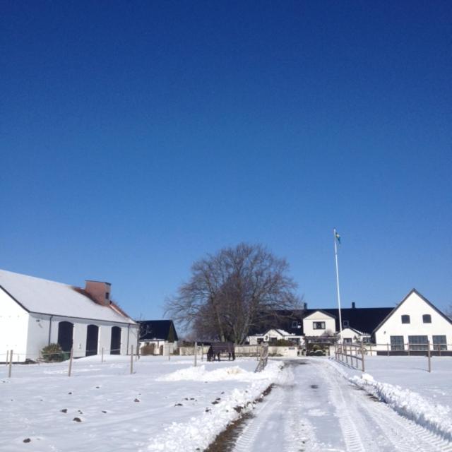 Arnhög Farm v zimě