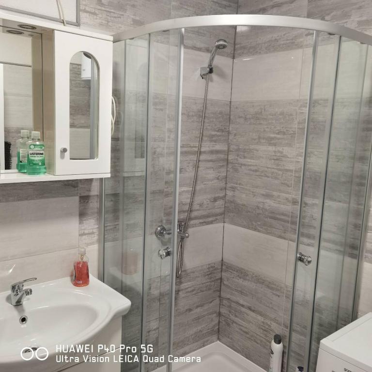 een badkamer met een douche en een wastafel bij Apartments Sara in Bosanska Krupa
