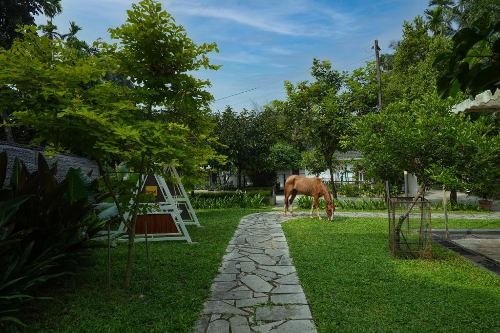 a horse grazing on the grass in a yard at Royad Calicut Farm House - Premium Villa with Pool Inside a Farm in Kozhikode