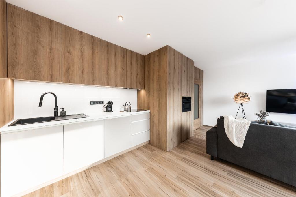 Kuchyň nebo kuchyňský kout v ubytování Horem Dolem Apartmán