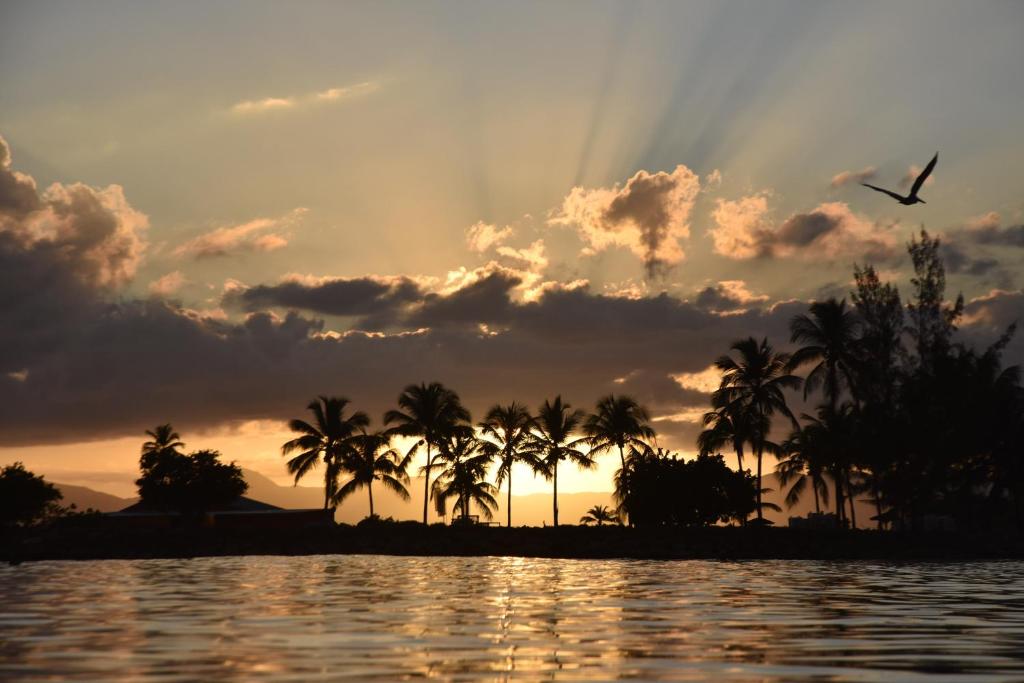 a sunset over a body of water with palm trees at Duplex T2, 4 adultes, piscine, plage à proximité in Le Gosier