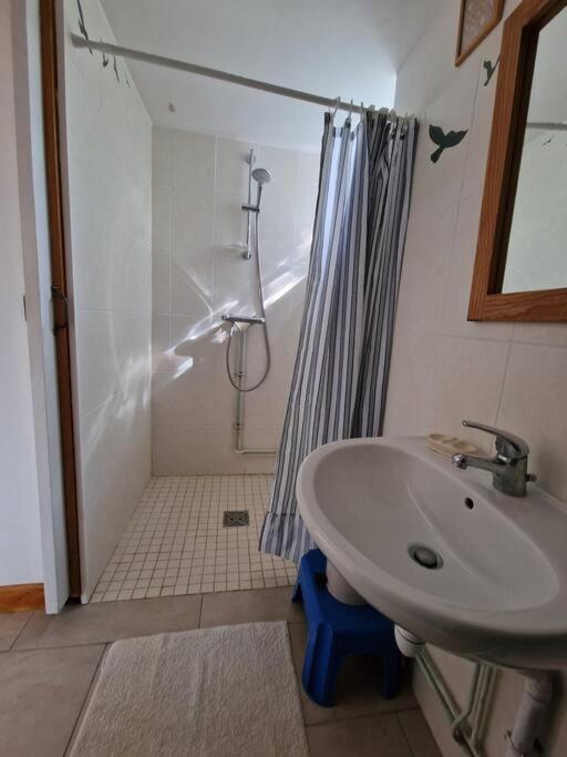 a bathroom with a sink and a shower and a sink at Gîte de charme - Normandie in Breteuil-sur-Iton