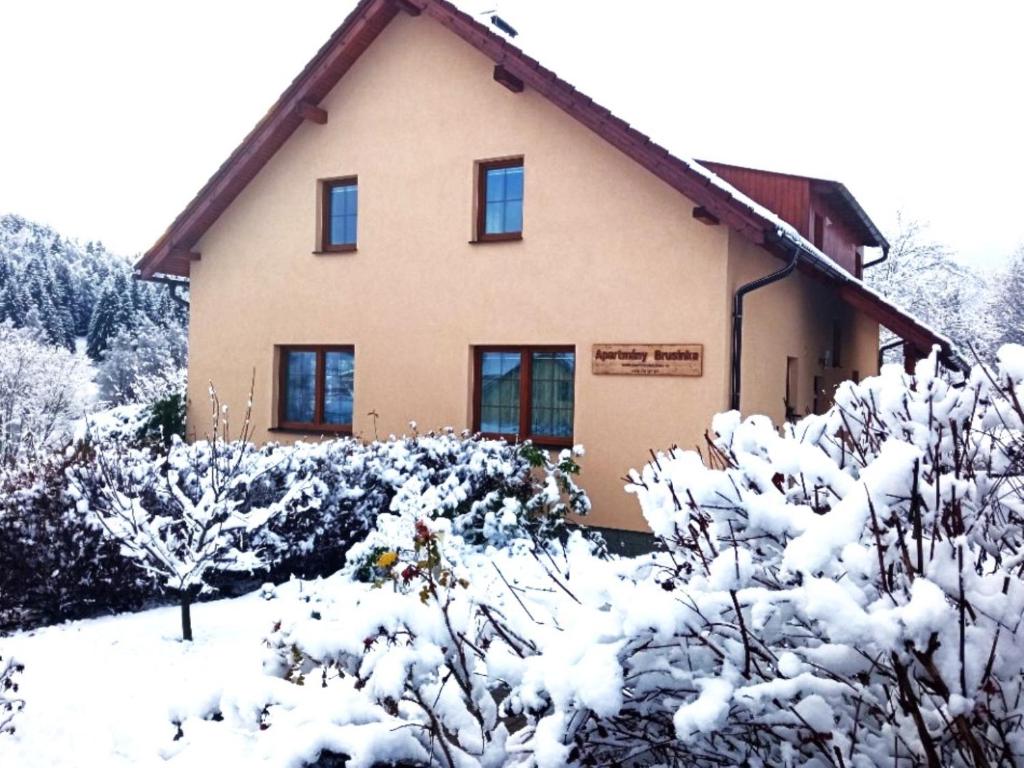 Apartment Brusinka om vinteren