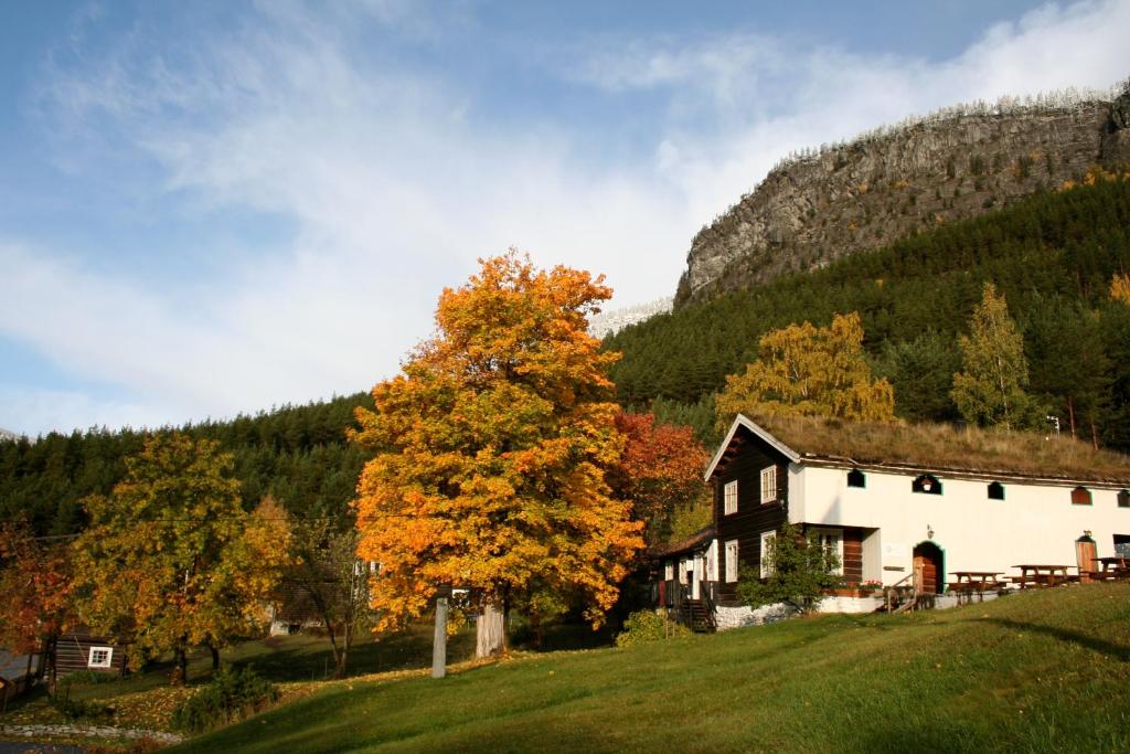 ein Haus auf einem Hügel mit einem Baum in der Unterkunft HI Explore Sjoa in Otta