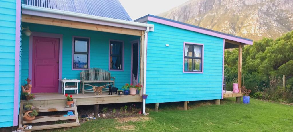 a blue and purple house with a porch at Cat Nap Cottage in Bettyʼs Bay