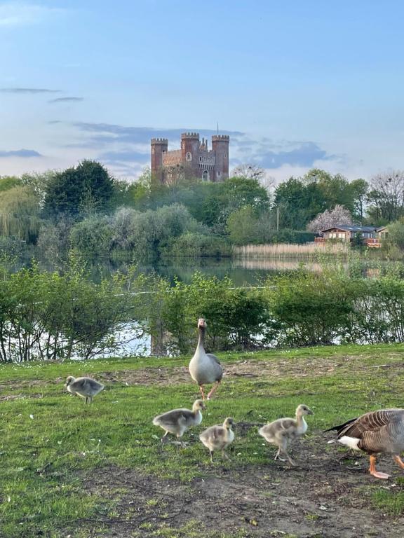 a group of geese walking in front of a castle at Luxury Hot Tub Caravan Tattershall in Tattershall