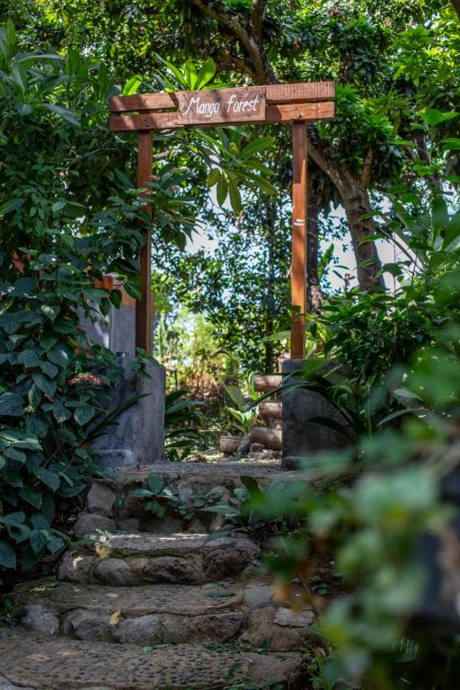 Zahrada ubytování Mangoforest Bali